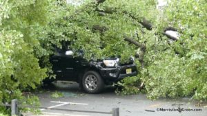 Morristown firefighters say a driver escaped serious injury when this tree crashed onto his vehicle, Aug. 3, 2018. Photo by Kevin Coughlin