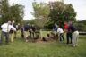 “Grove of 13” trees planted in Central Park of Morris County