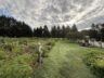 Lettuce celebrate! Morris Township’s community garden turns 10