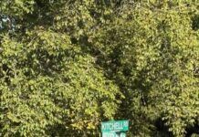 Commentary: Harding ignored its neighbors. Why did Morris Township rush to help?